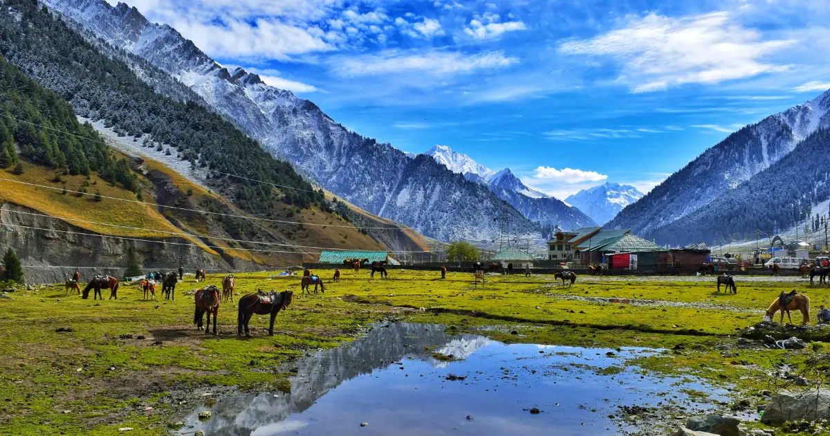 kashmir-tour-packages-from-kolkata
